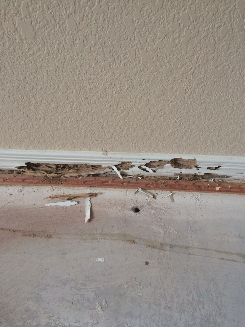 Termite damage to baseboard