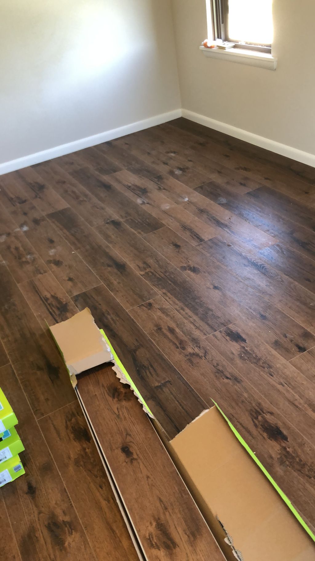 Projects and media
