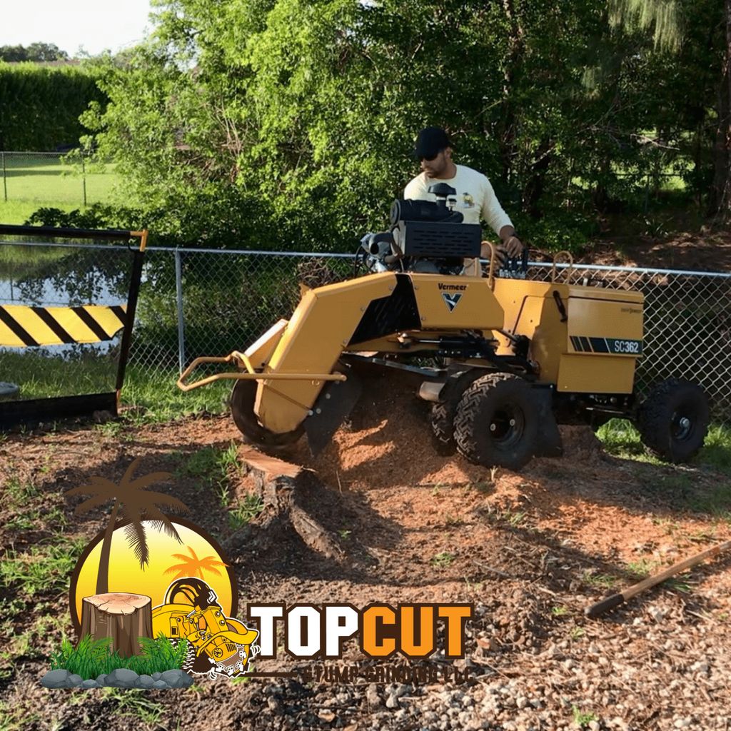 Top Cut Stump Grinding