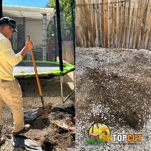 Tree Stump Grinding and Removal