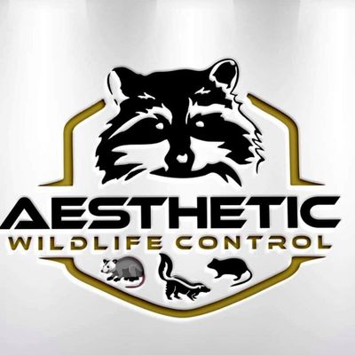 Avatar for AESTHETIC RODENT AND WILDLIFE CONTROL 24/7