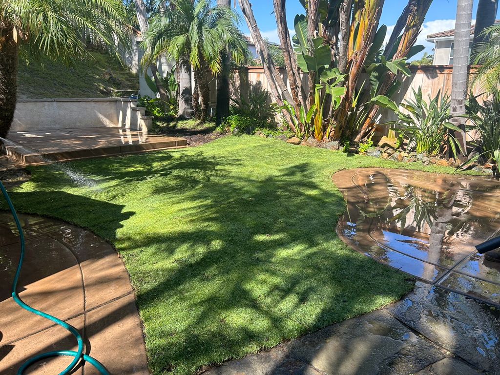 Sod Installation 