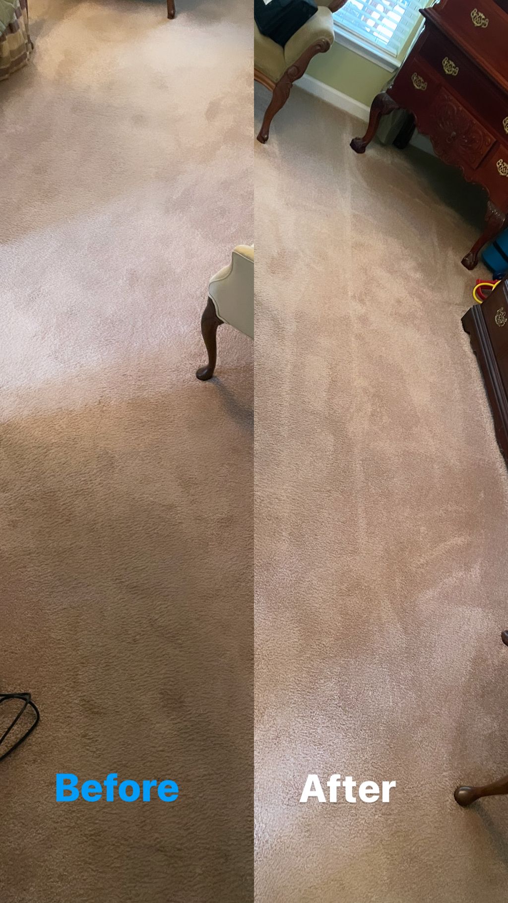 Carpet Cleaning