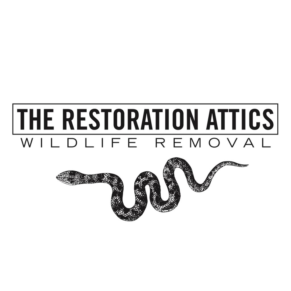 The Restoration Attics