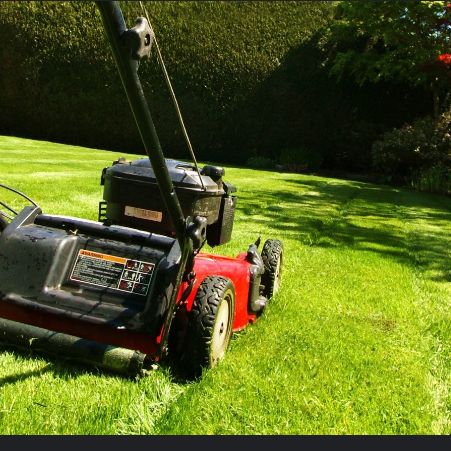Ciscos’s Lawn Amigos