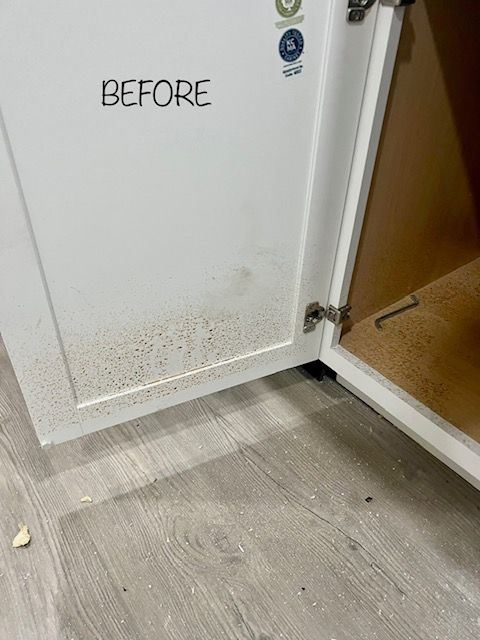 Before Cleaning