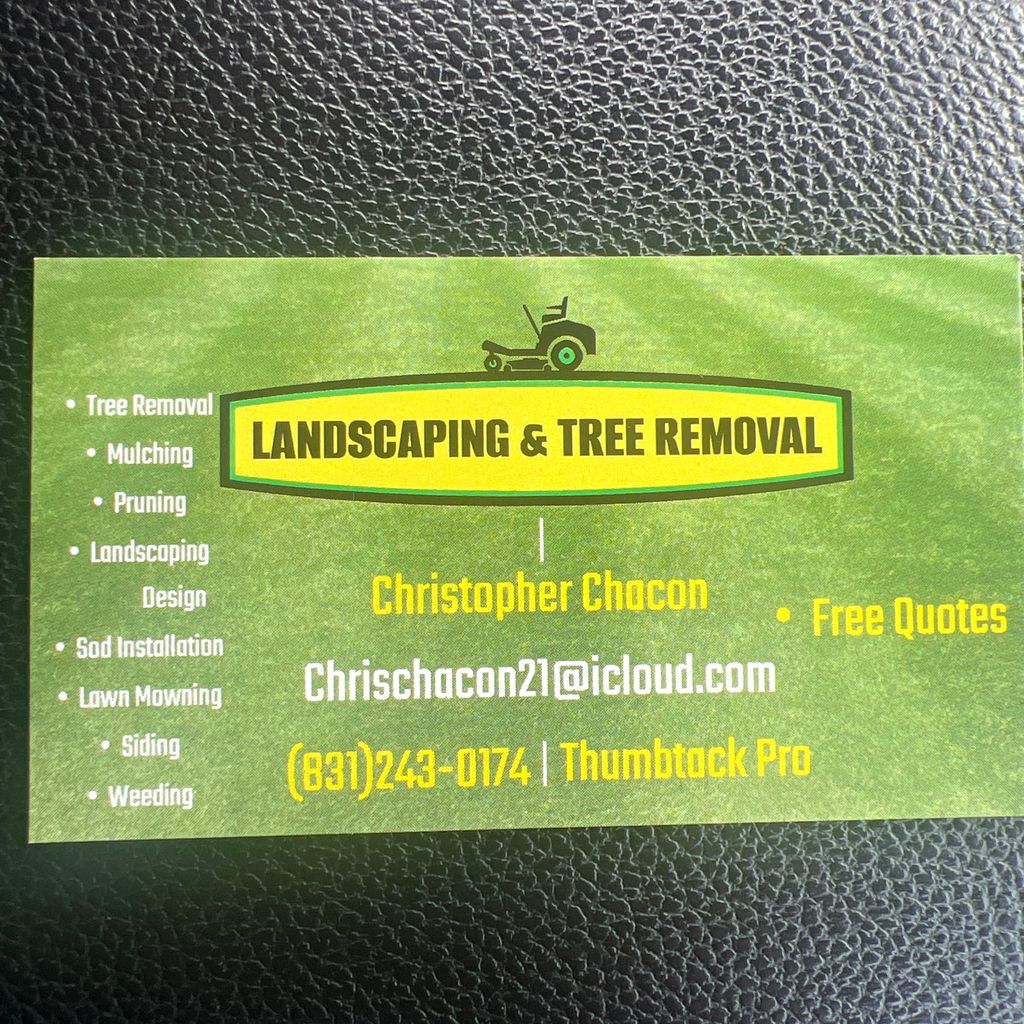 Landscape and tree removal pros