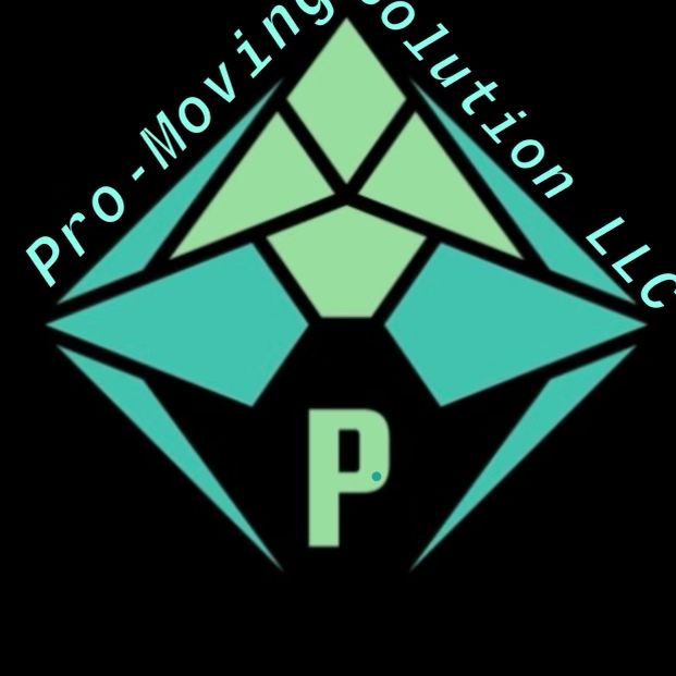 PRO MOVING Solutions