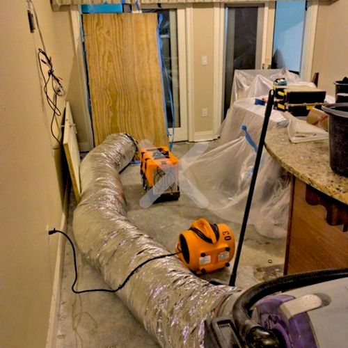 Mold Inspection and Removal