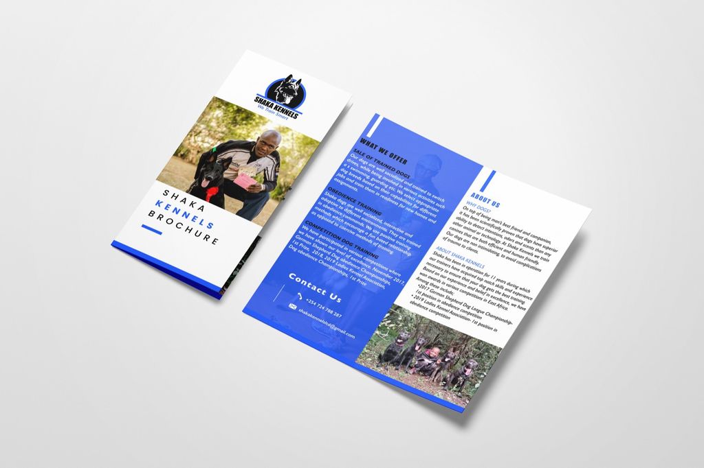 Projects and media