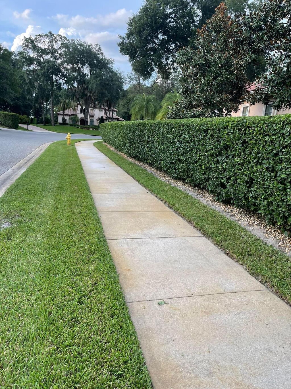 Lawn Mowing and Trimming