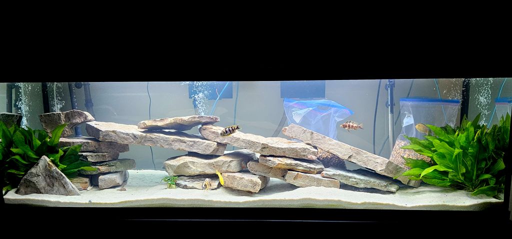 Customer photos