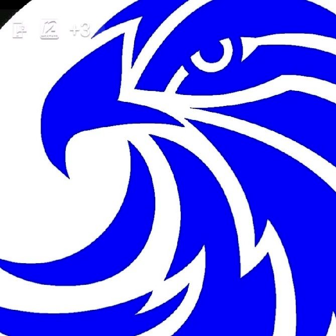 EAGLE CONSULTING