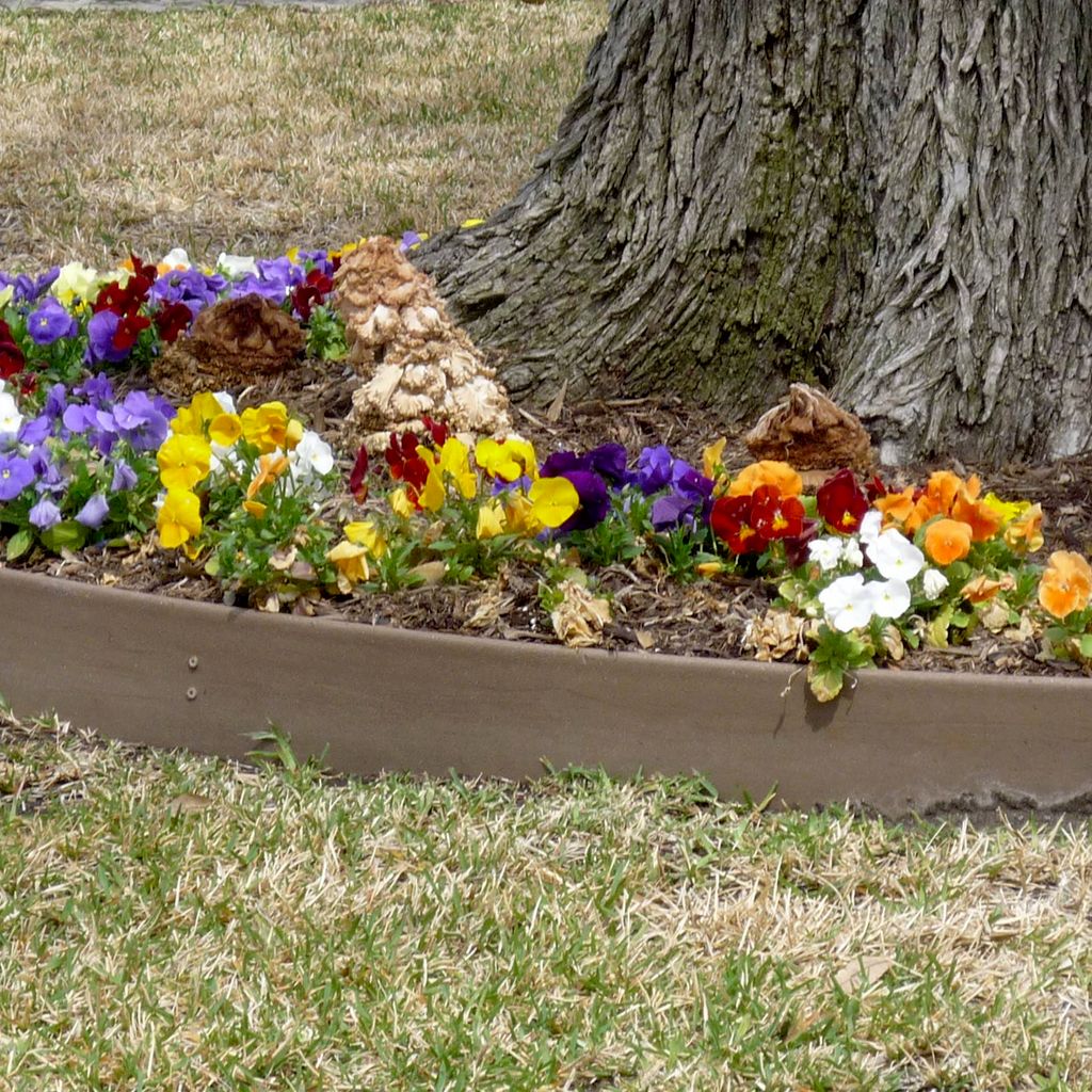 Teals Lawn Care Services