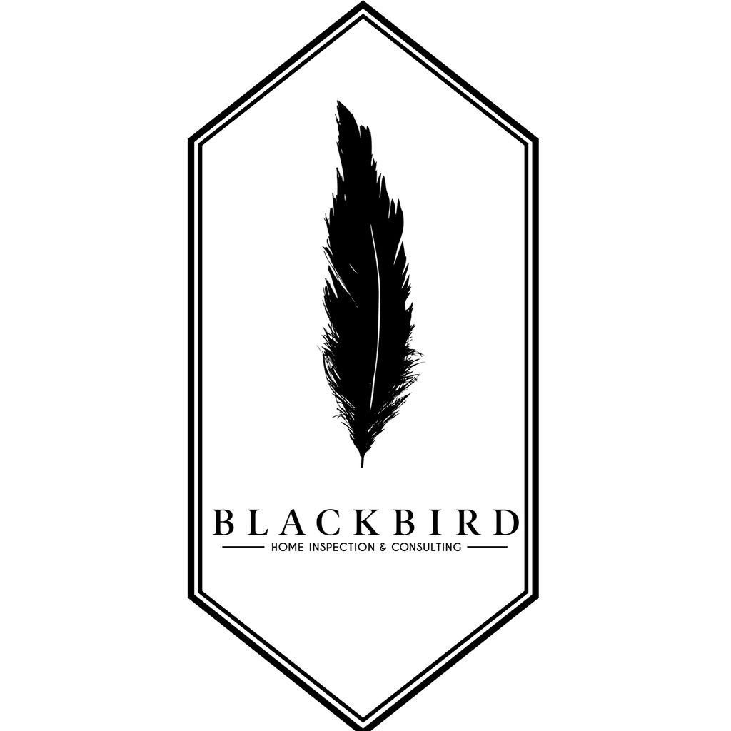 Blackbird Home Inspection & Consulting