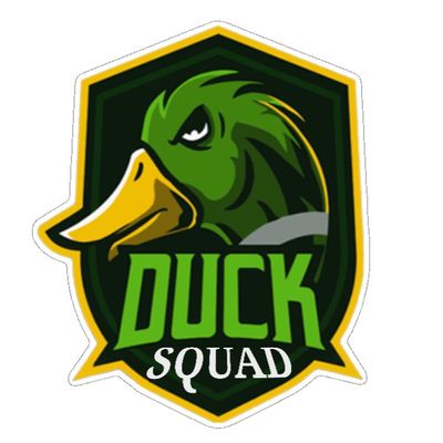 Avatar for Duck Squad Moving Co.