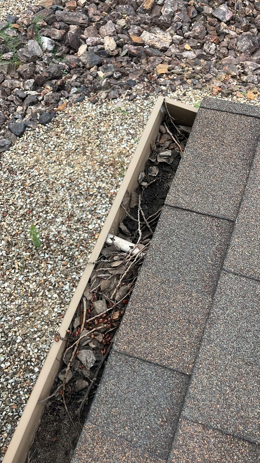 call us to get your gutters clean!