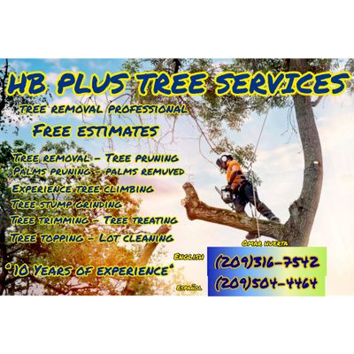 Avatar for HB PLUS TREE SERVICES