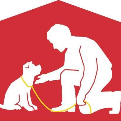 BetterDog Training