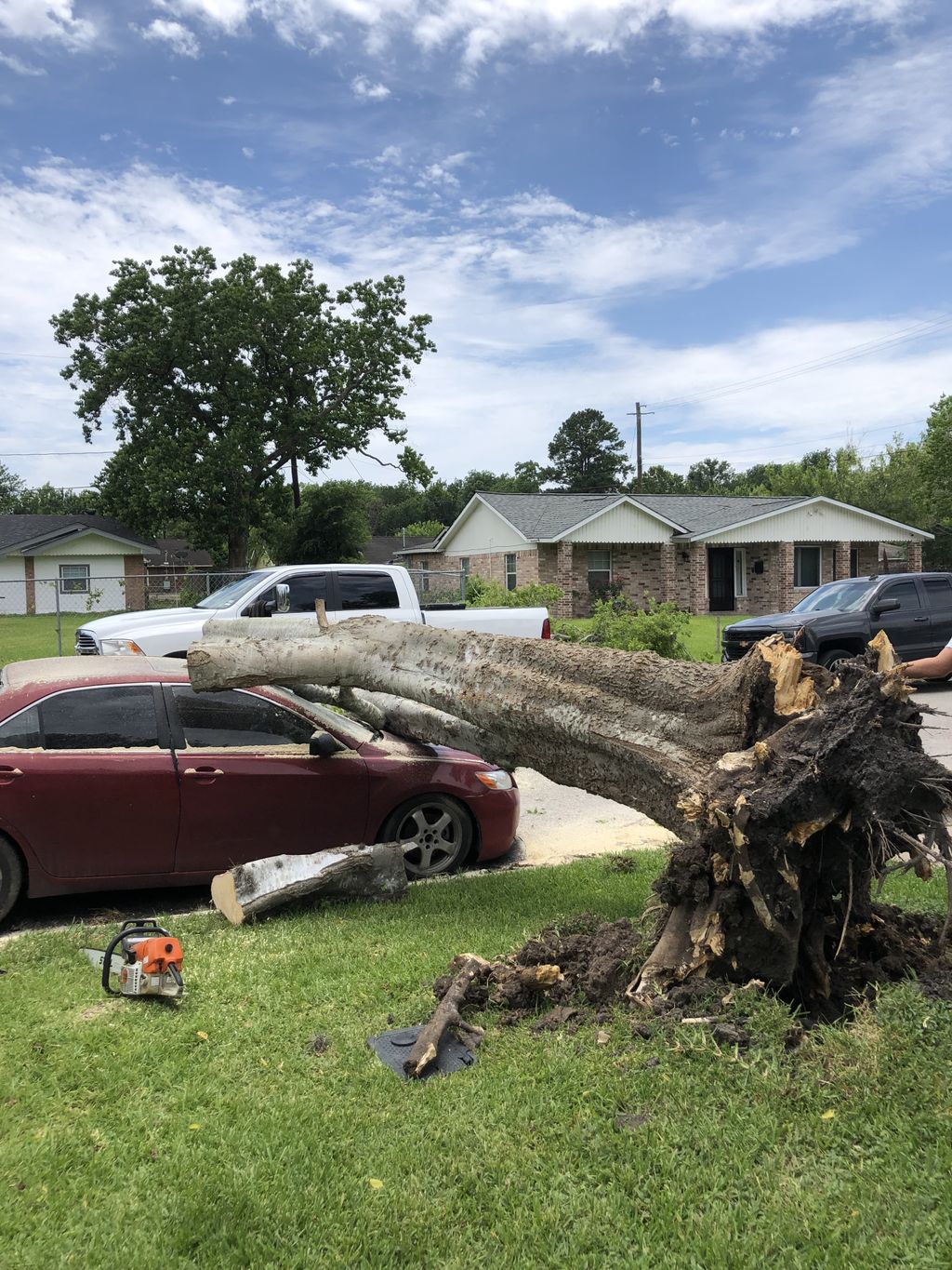 Tree Trimming and Removal