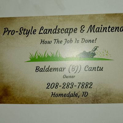 Avatar for PRO STYLE LANDSCAPING & MAINTENANCE