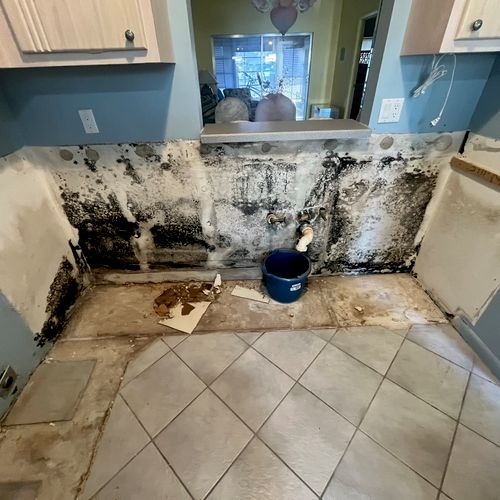 Mold Remediation: Kitchen - Before 