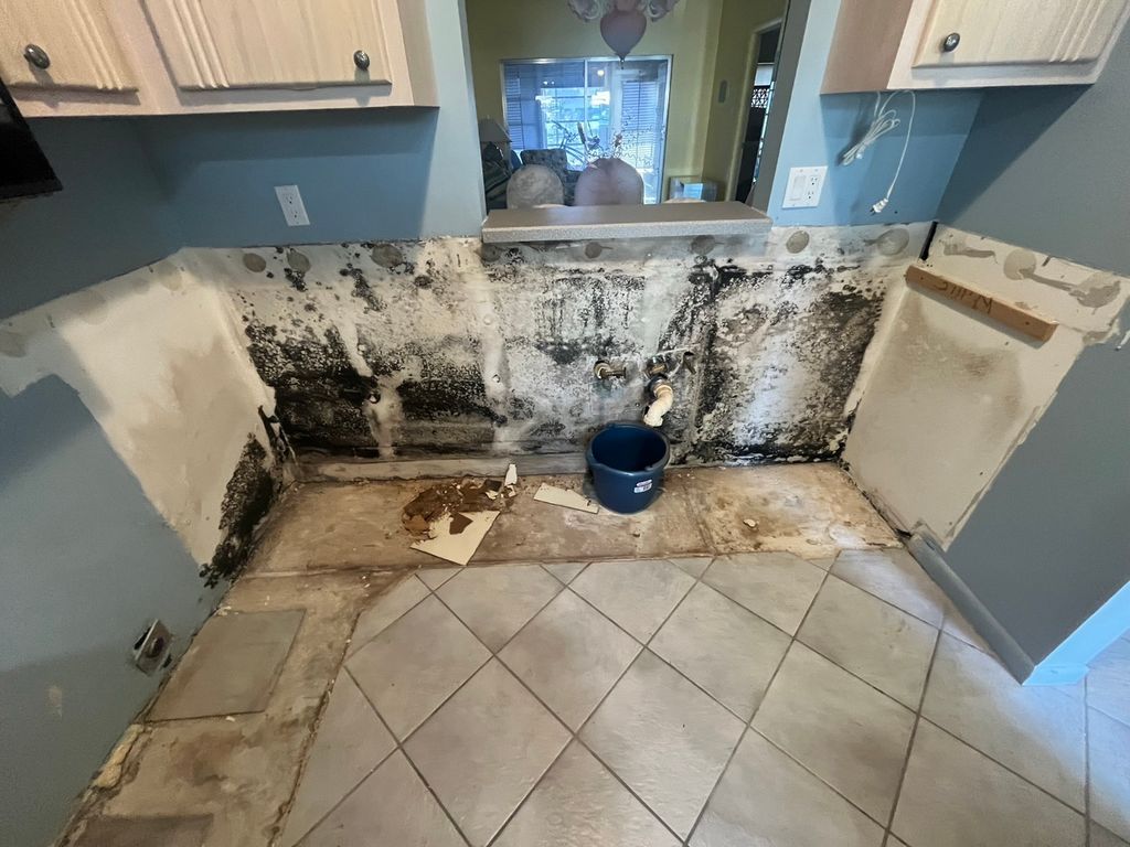 Mold Remediation: Kitchen - Before 