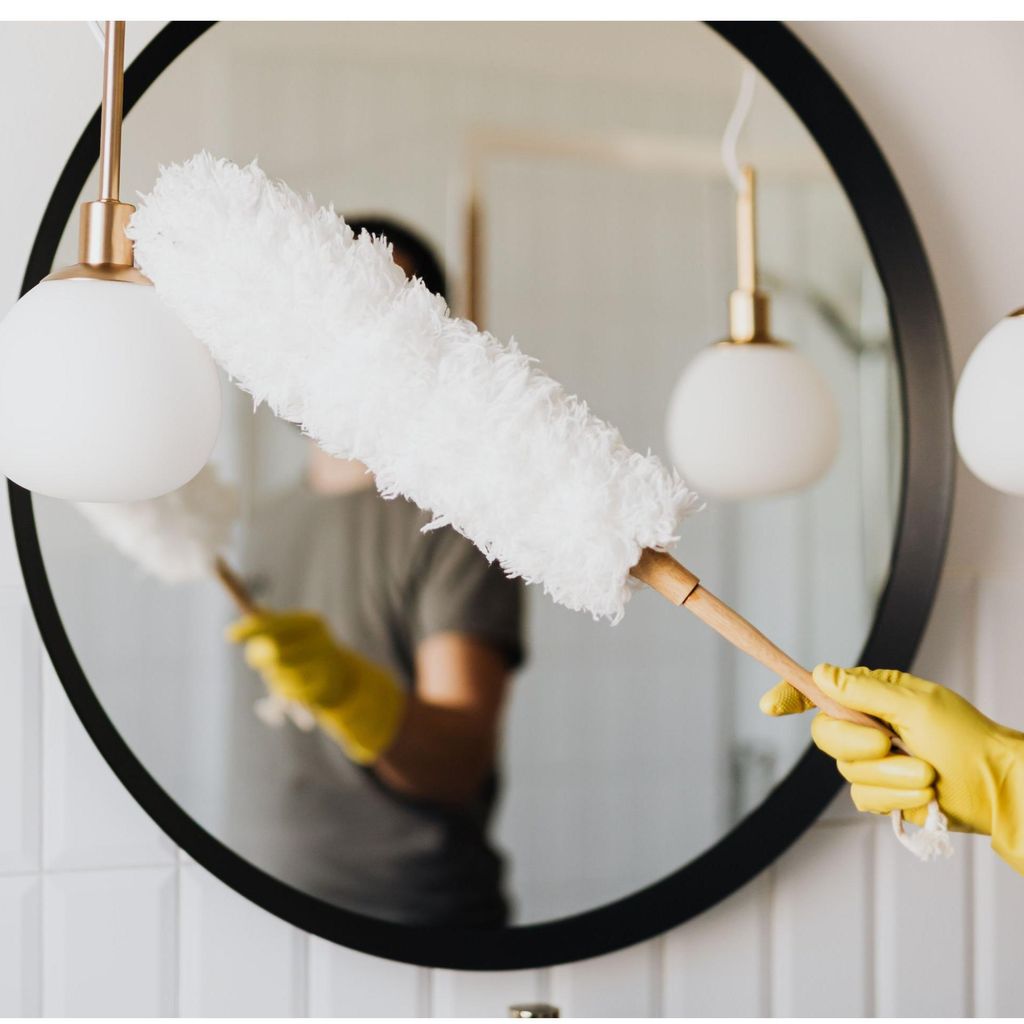 The Squeaky Cleaning Company