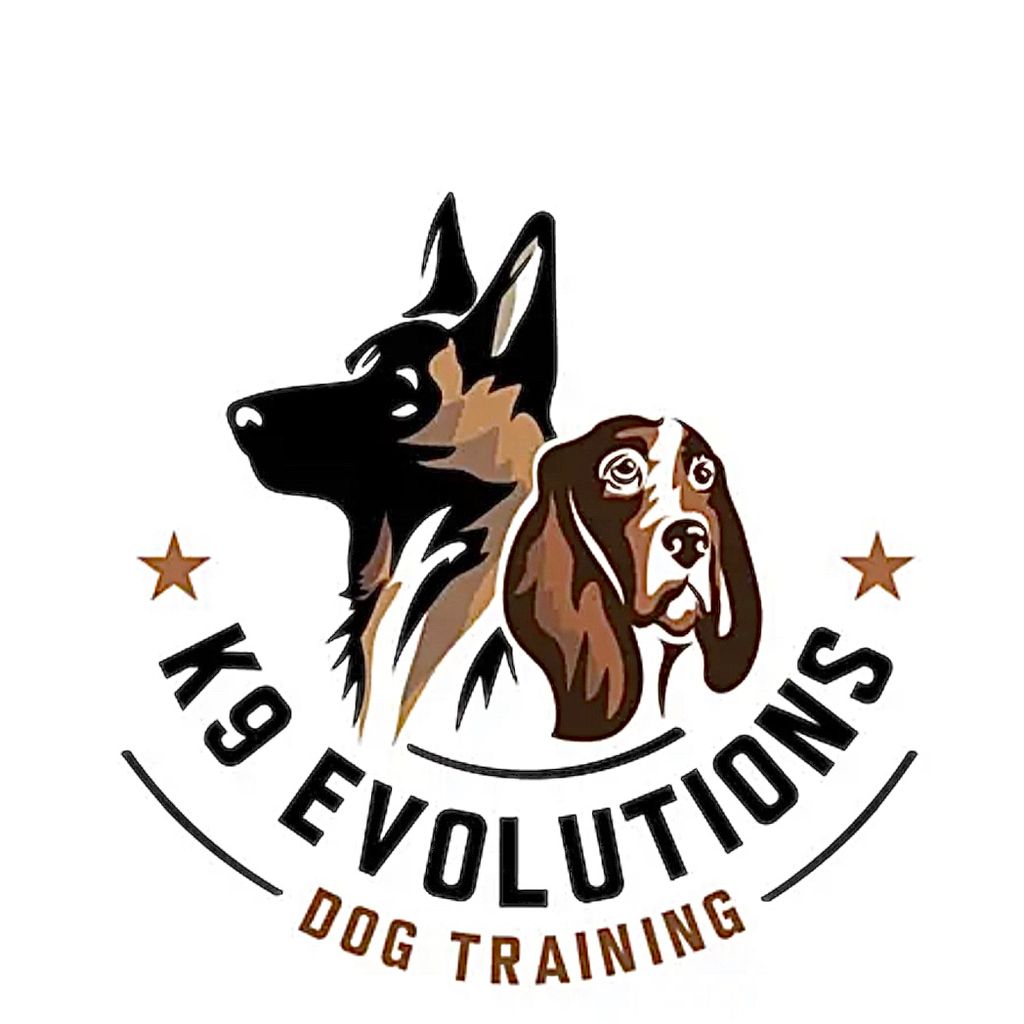 K9 Evolutions Dog Training