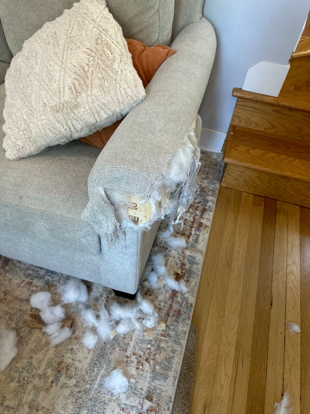 Customer photos