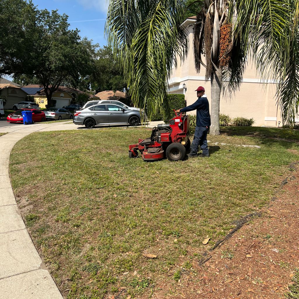LewisAndLewis PM (lawn maintenance)
