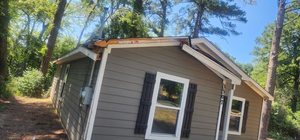 Tree damage 