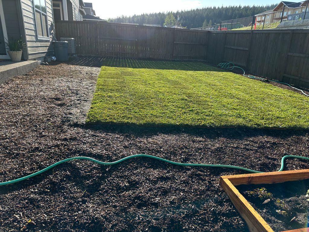 Sod Installation