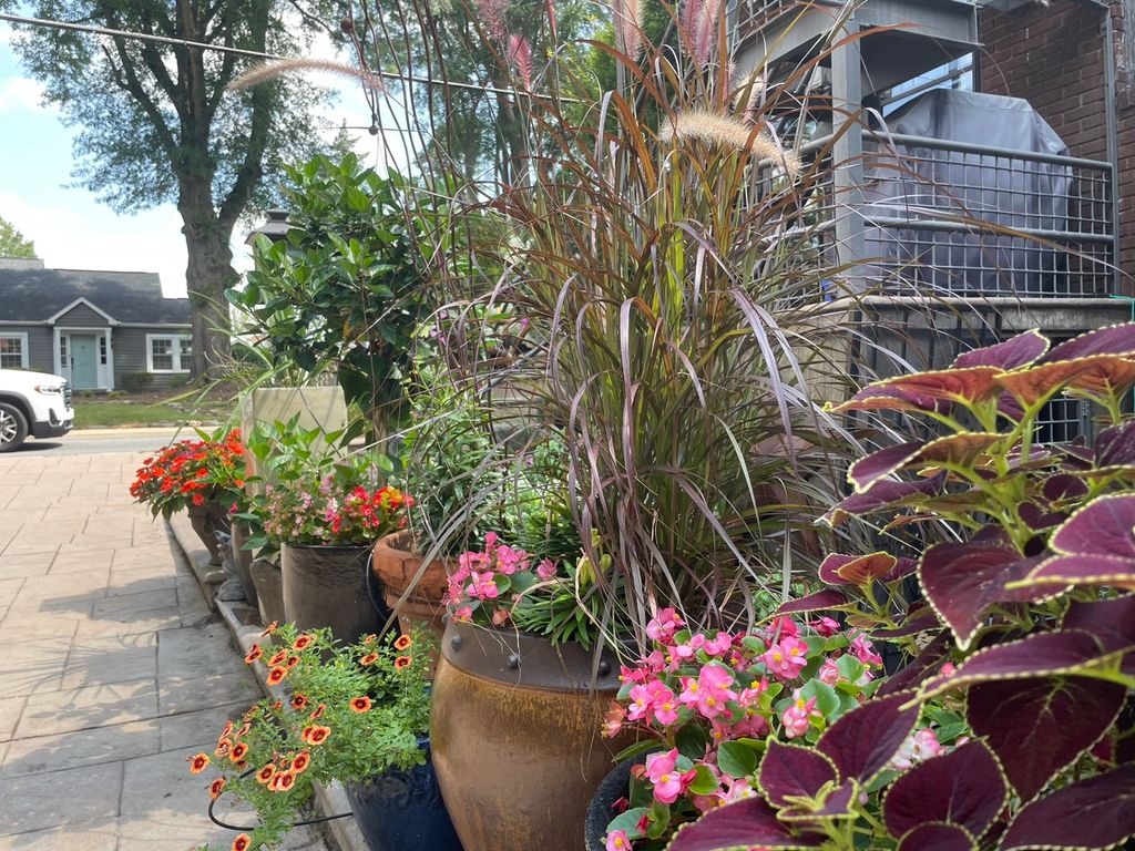 Planter updates 