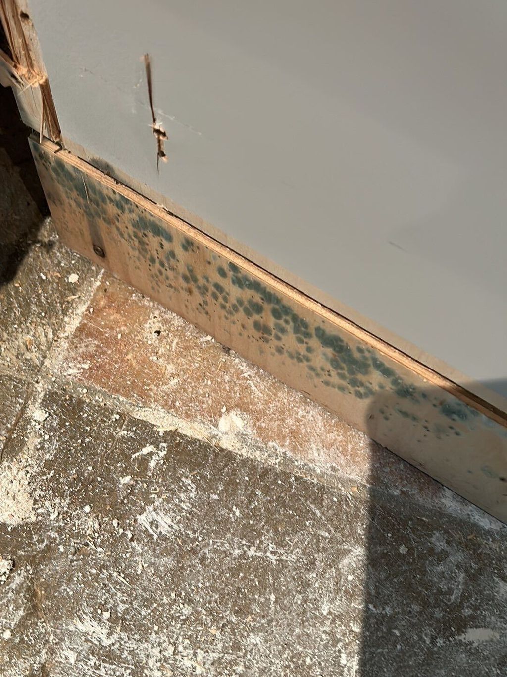 Water Damage Cleanup and Restoration