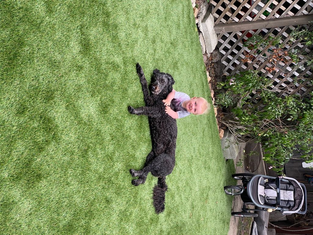 Customer photos