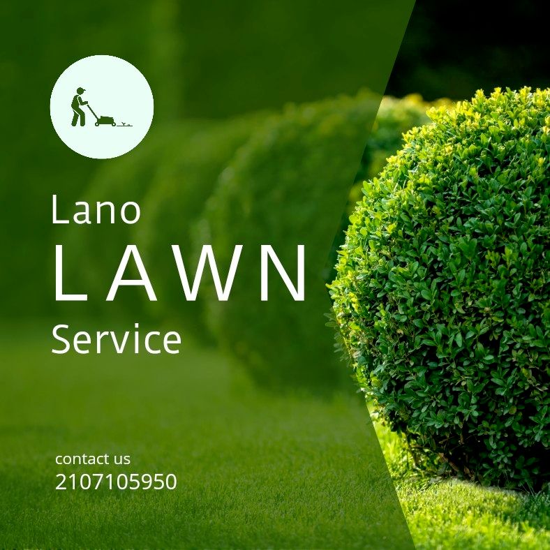lano painting and mowing