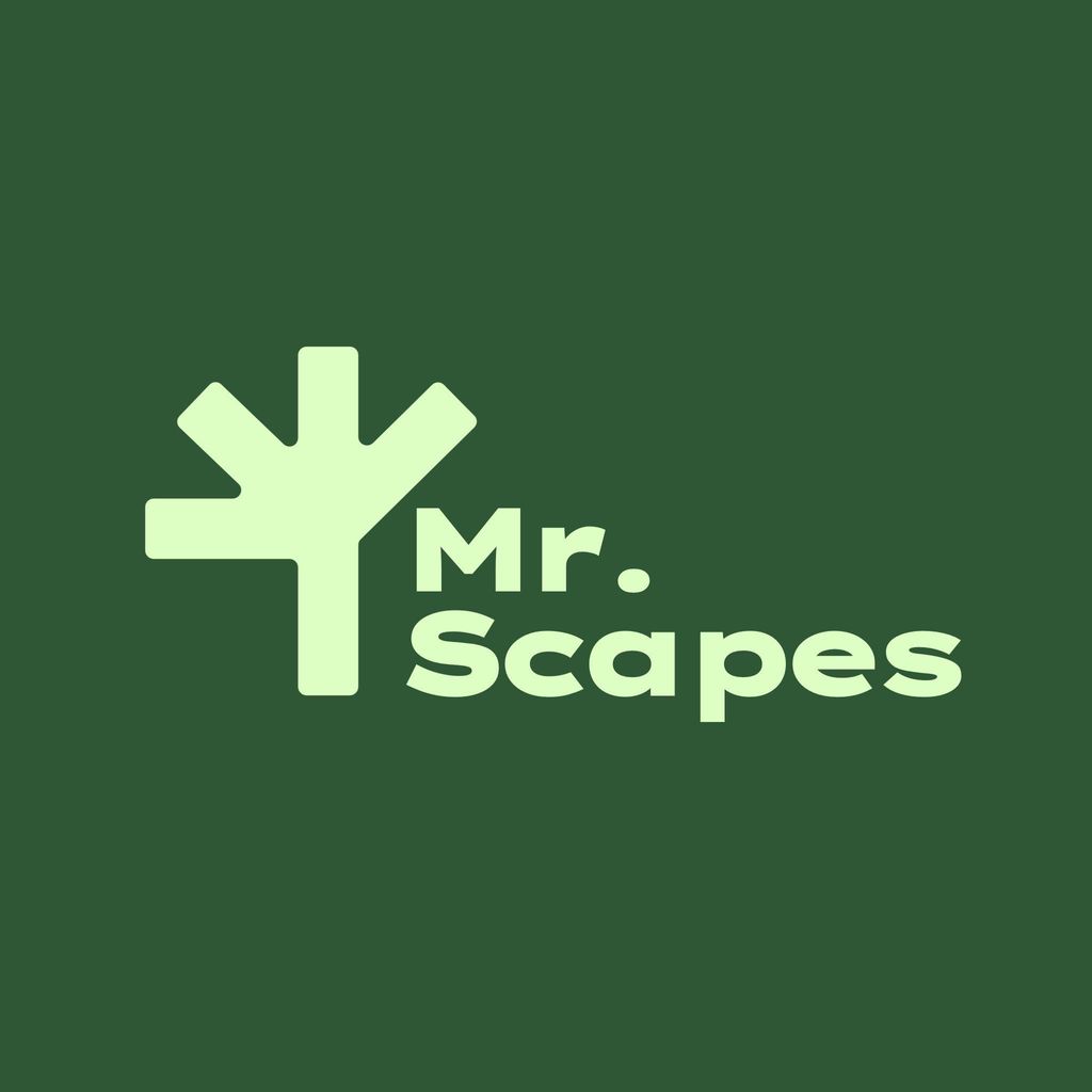 Mr.Scapes