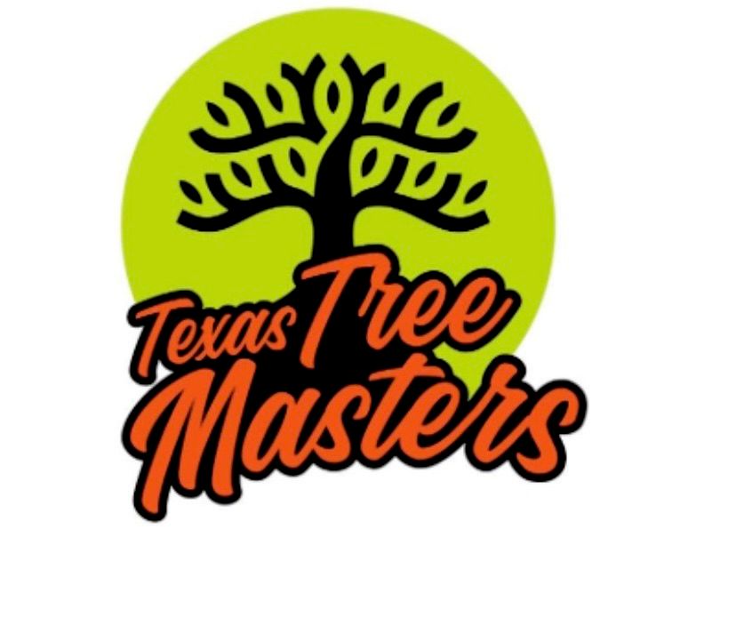 Texas tree masters