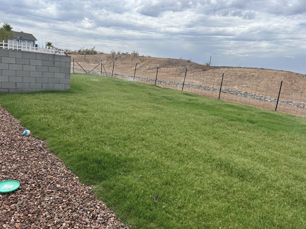 Sod Installation