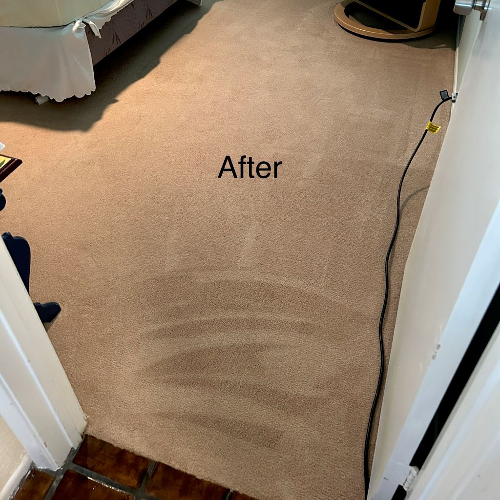 Carpet Cleaning project from 2023