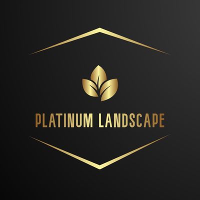 Avatar for Platinum Landscape