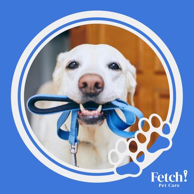 Avatar for Fetch! Pet Care of Central Chicago
