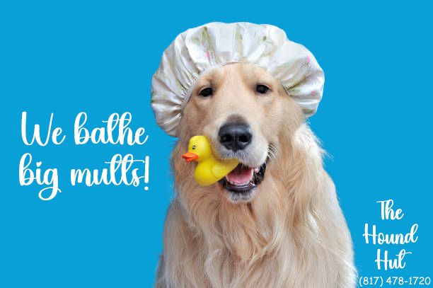Each bath includes nail trimming, ear cleaning, bl