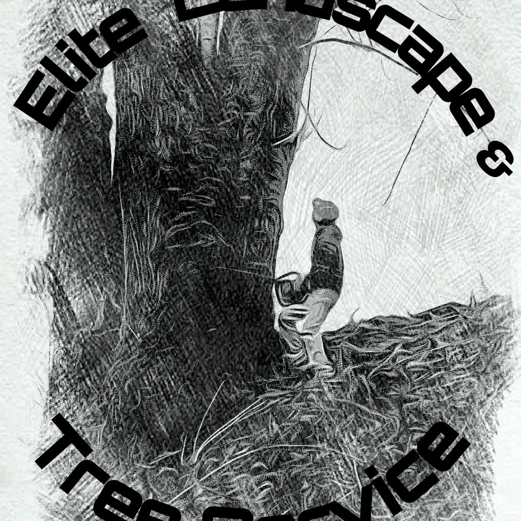 ELITE LANDSCAPE & TREE SERVICE
