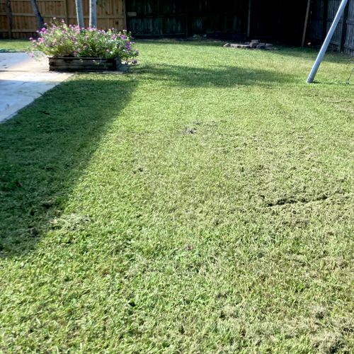 Lawn Mowing and Trimming