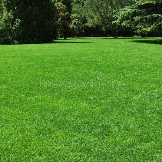 Derby city lawn care