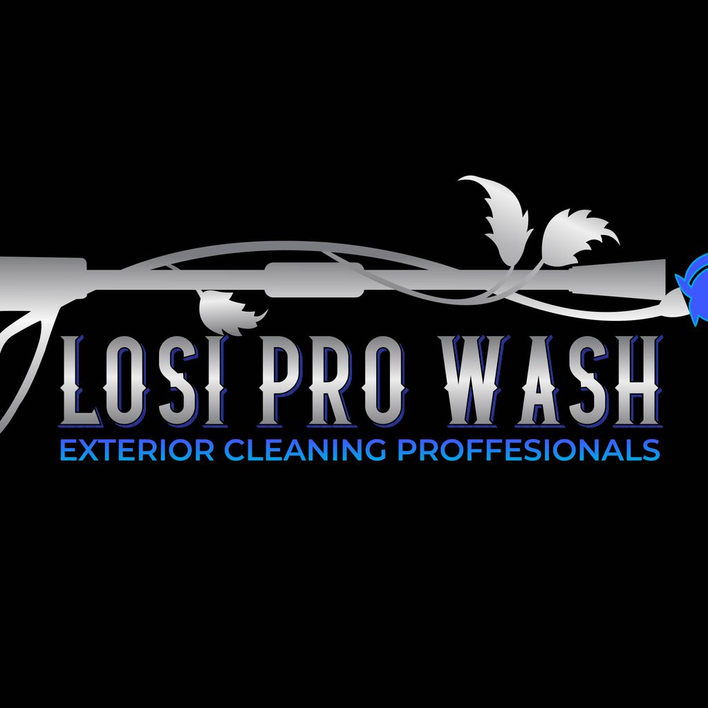 Losi Pro Wash