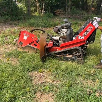 Mario's lawn mower online repair