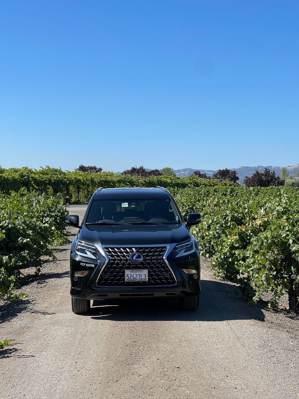 At the vineyards of Trentadue